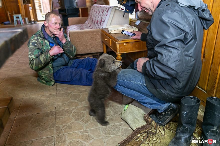Bear Cub Wanders Onto A Farm And Authorities Suggest Putting Her To Sleep But This Man Decides To Raise Her