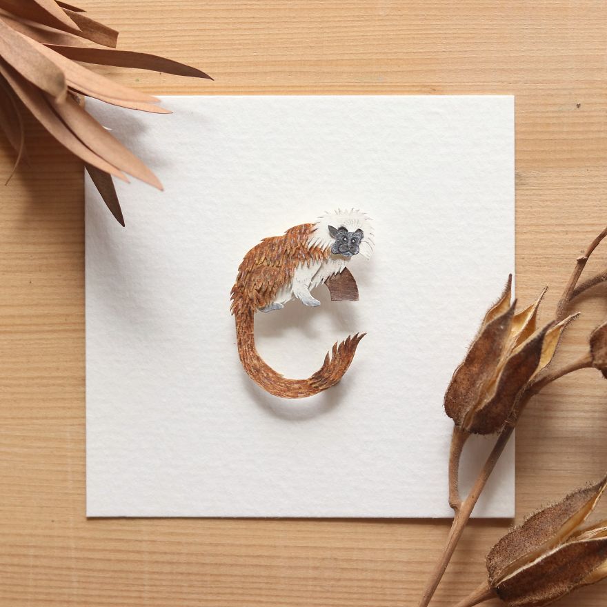 We Made An Alphabet Out Of Endangered Wildlife Species (34 Pics)