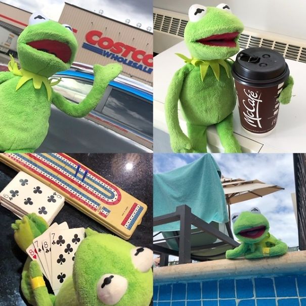 Yegkermit Every Day Life On Ig Yegkermit Every Day Life On Ig