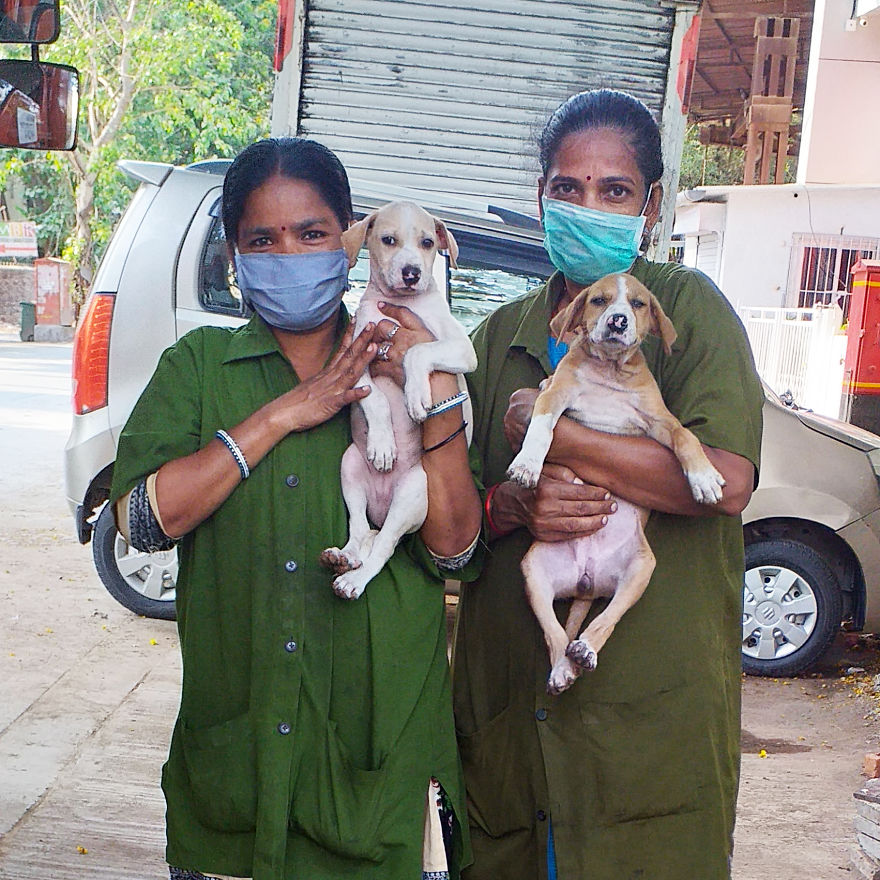 Compassion For Animals – The Snake Story Compassion For Animals – The Snake Story
