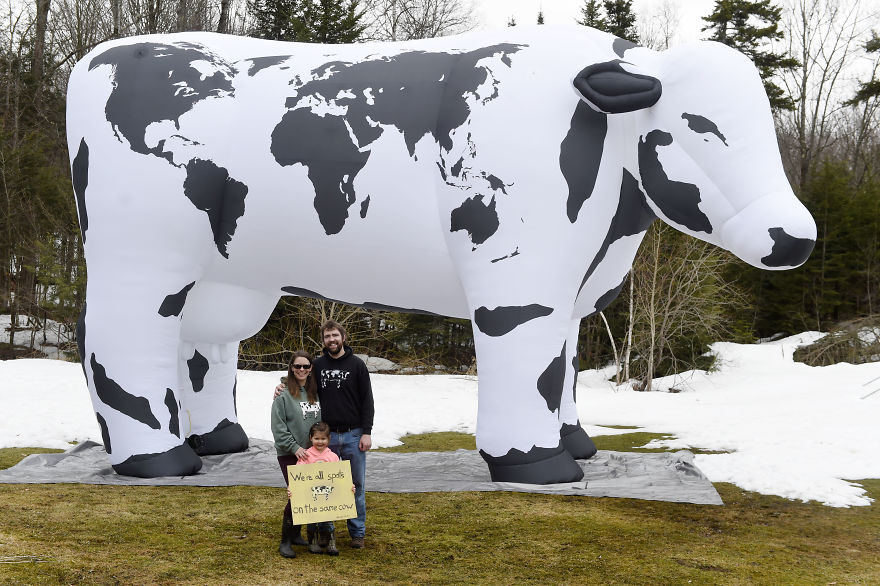 I Made A Giant Cow For The World