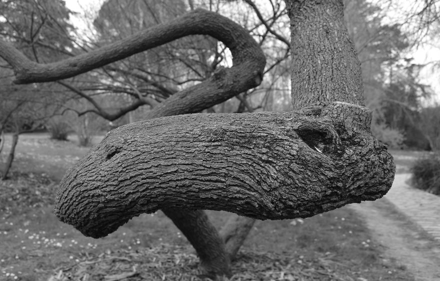 Four Photos That I Traveled With