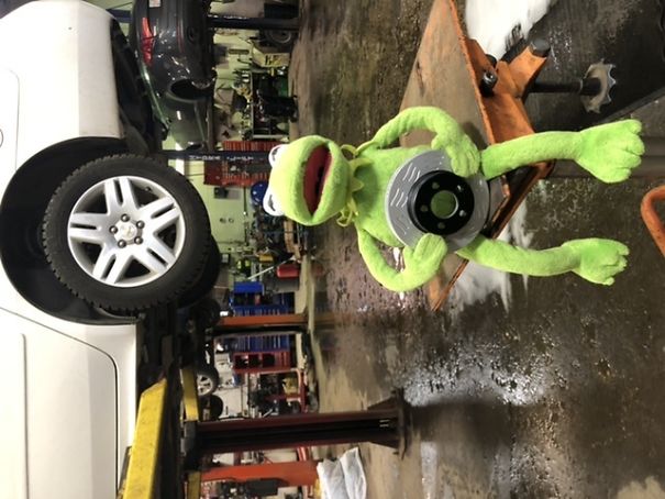 Yegkermit Every Day Life On Ig Yegkermit Every Day Life On Ig