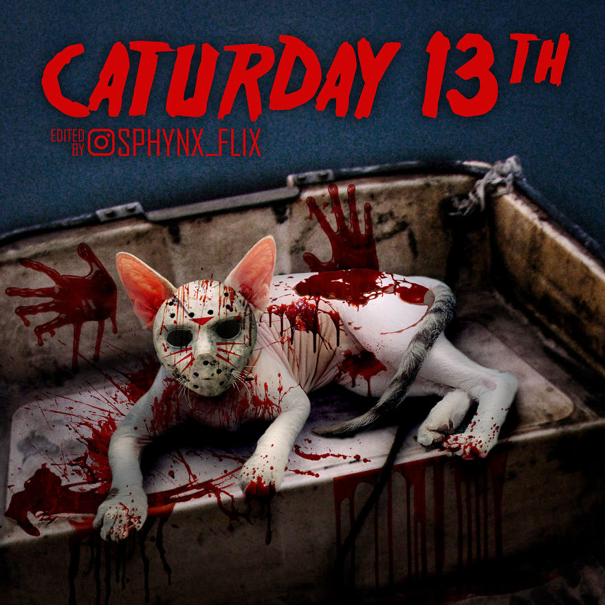 My 84 Movie Poster Parodies Starring Sphynx Cats