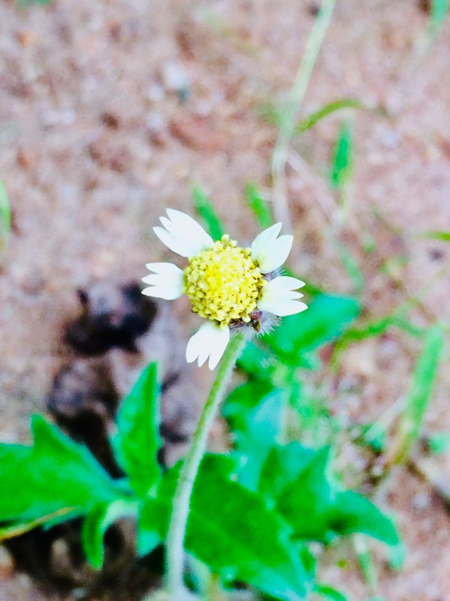 Nature Nature
