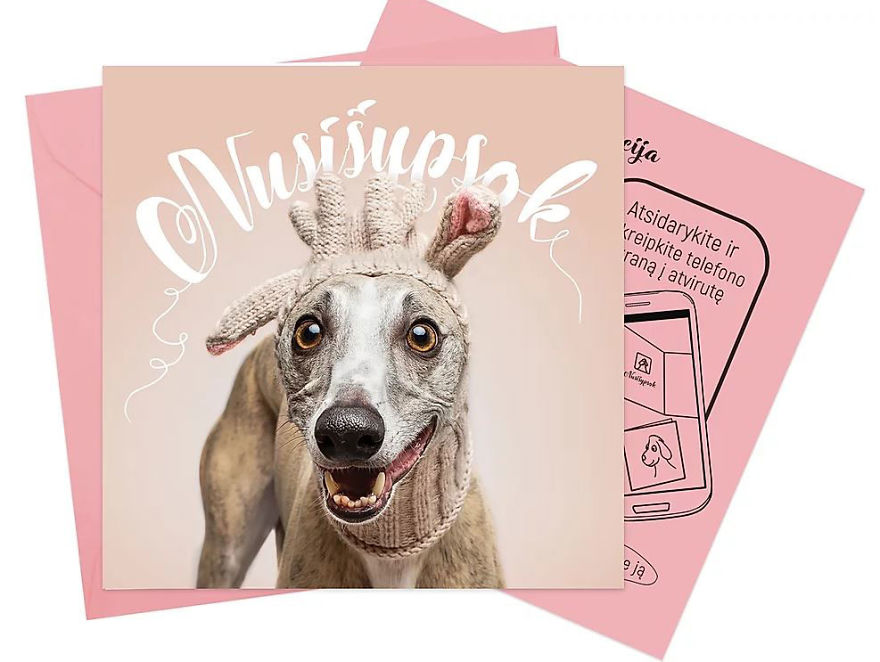 I Created This Interactive App Featuring Funny Dogs To Bring Positivity To Kids With Cancer