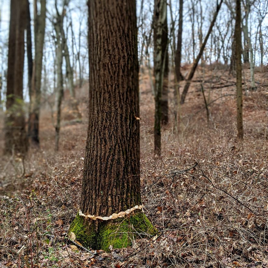 Allison Tyler's Curious Land Art Is So Precarious It Might Never Be Seen Allison Tyler's Curious Land Art Is So Precarious It Might Never Be Seen