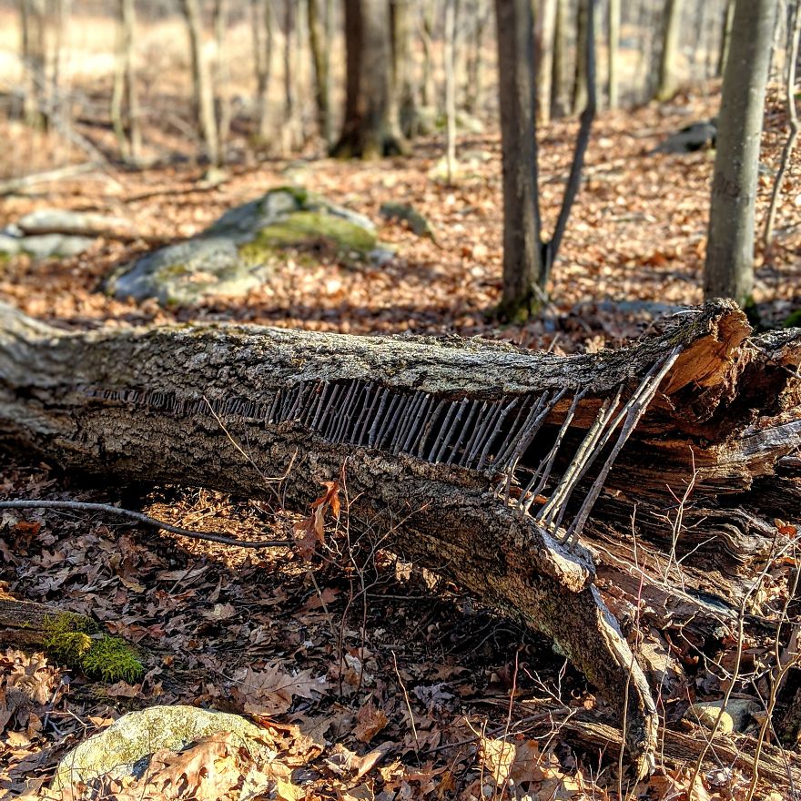 Allison Tyler's Curious Land Art Is So Precarious It Might Never Be Seen Allison Tyler's Curious Land Art Is So Precarious It Might Never Be Seen