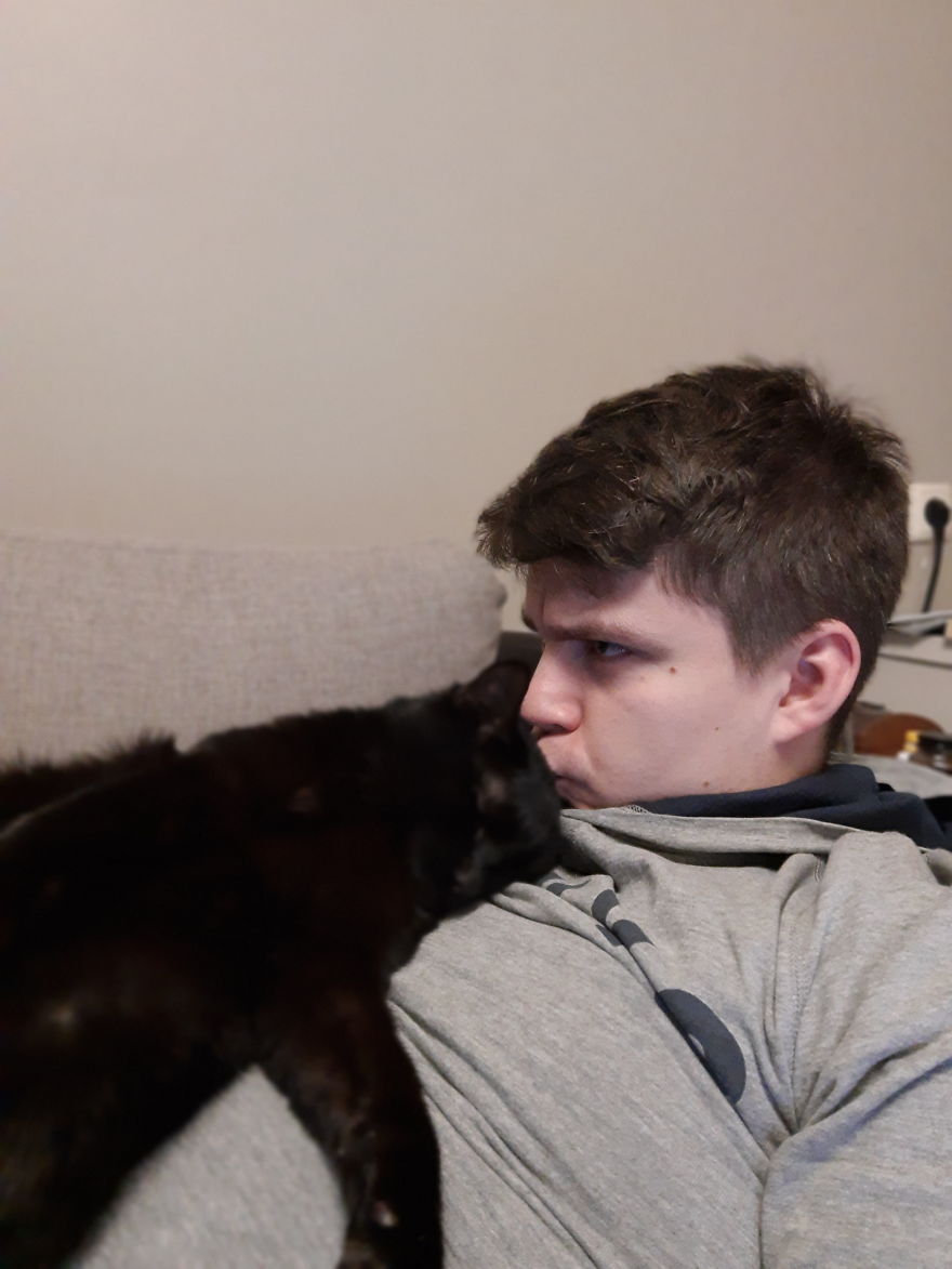 Cat Enjoys Spending Quality Time With His Dad During Quarantine Cat Enjoys Spending Quality Time With His Dad During Quarantine