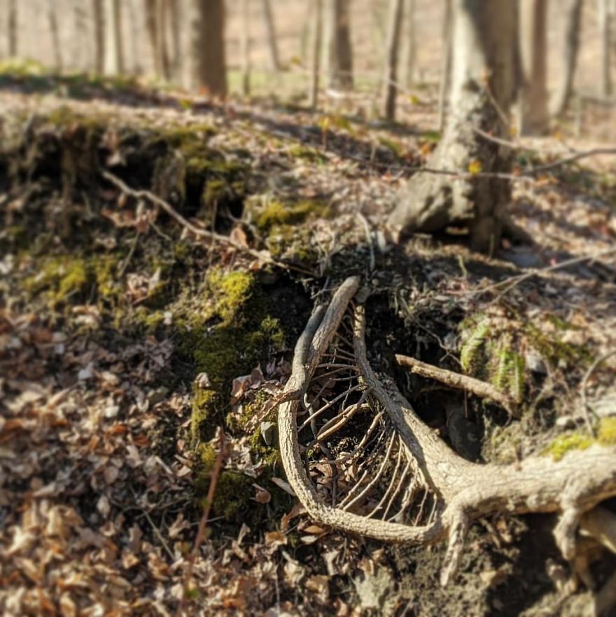 Allison Tyler's Curious Land Art Is So Precarious It Might Never Be Seen Allison Tyler's Curious Land Art Is So Precarious It Might Never Be Seen