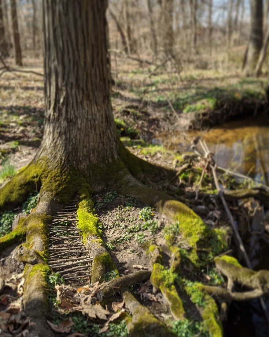 Allison Tyler's Curious Land Art Is So Precarious It Might Never Be Seen Allison Tyler's Curious Land Art Is So Precarious It Might Never Be Seen