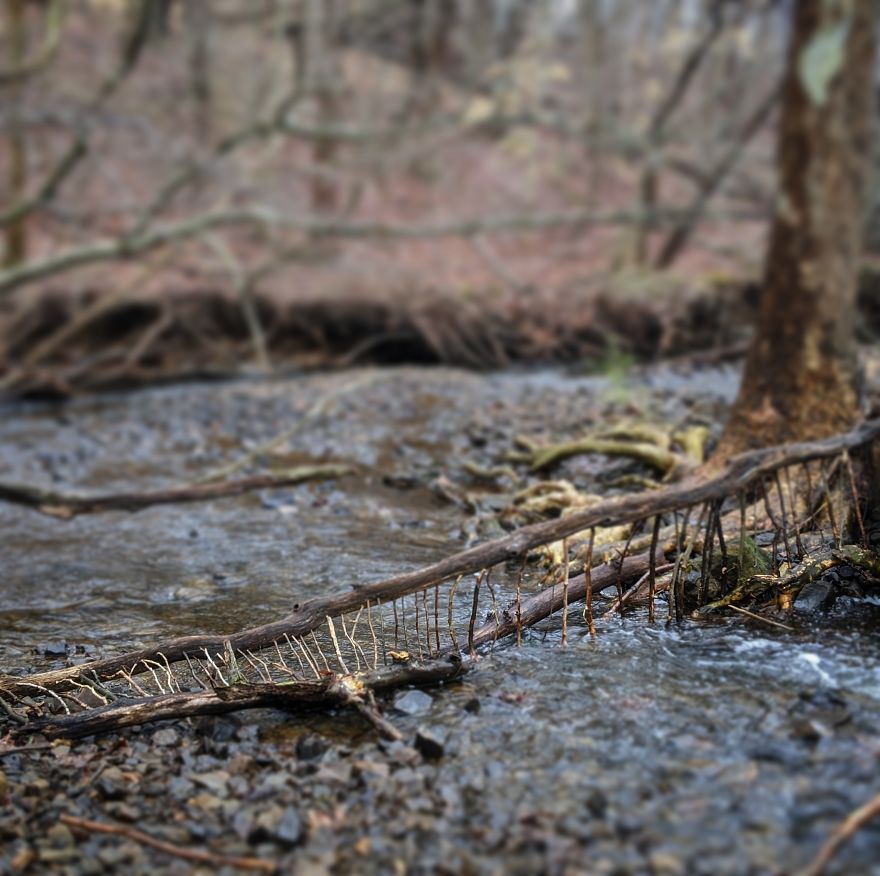 Allison Tyler's Curious Land Art Is So Precarious It Might Never Be Seen Allison Tyler's Curious Land Art Is So Precarious It Might Never Be Seen