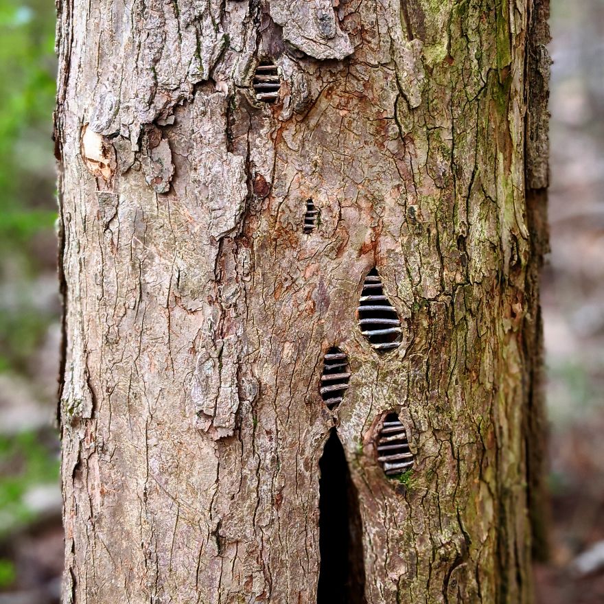 Allison Tyler's Curious Land Art Is So Precarious It Might Never Be Seen Allison Tyler's Curious Land Art Is So Precarious It Might Never Be Seen