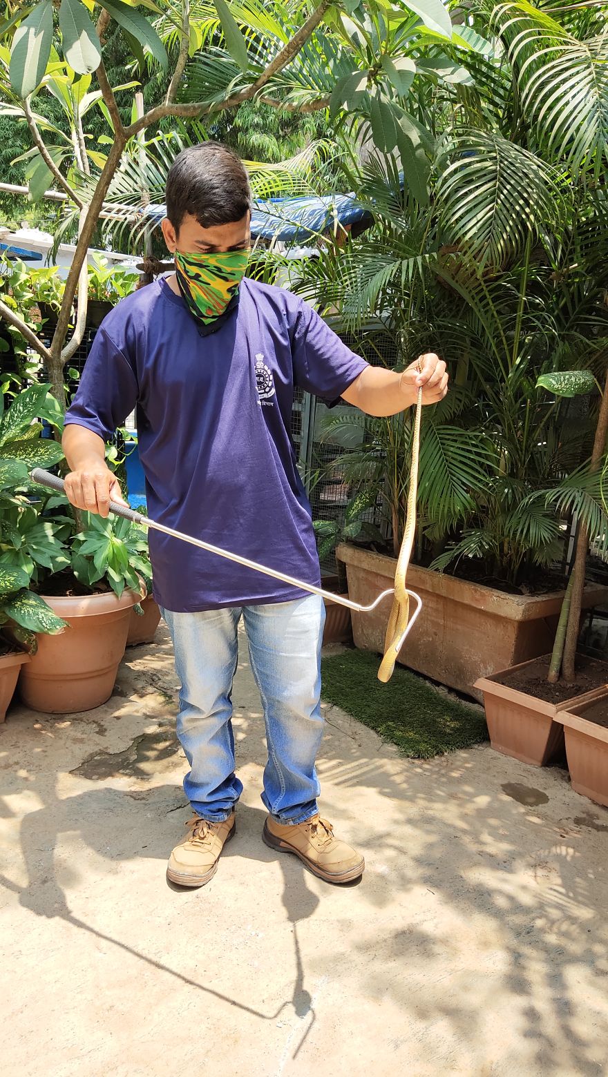 Compassion For Animals – The Snake Story Compassion For Animals – The Snake Story