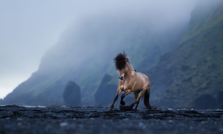 I Photograph Horses In The Breathtaking Icelandic Landscape