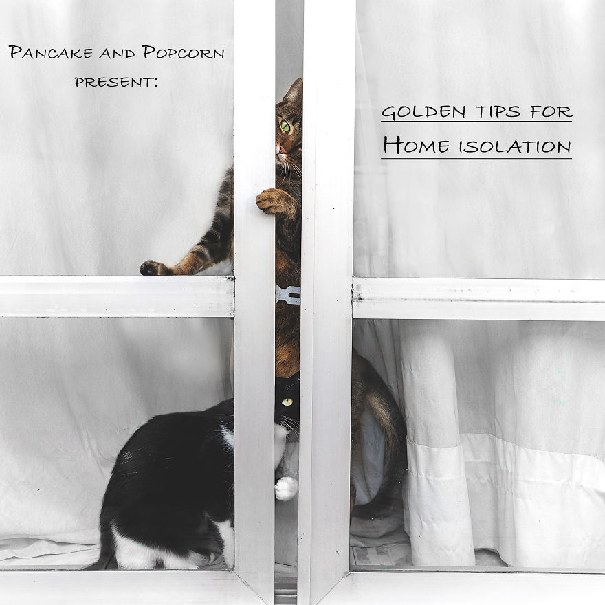 Golden Tips For Home Isolation Presented By Pancake And Popcorn