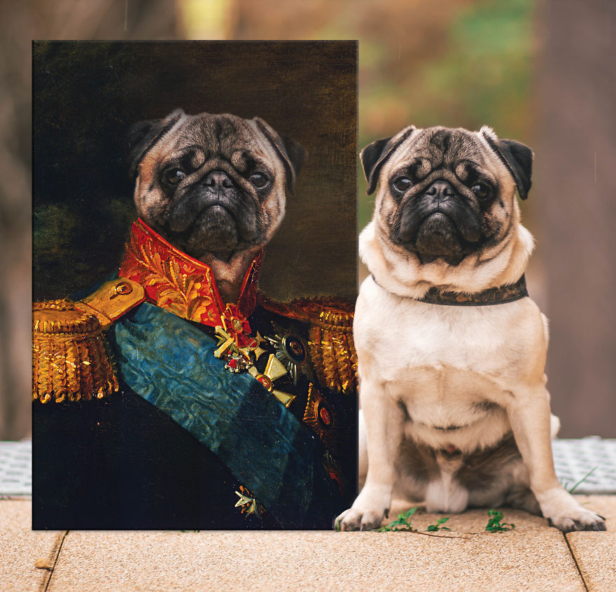 Keep Boredom At Bay By Having Your Pet Transformed Into Royalty!