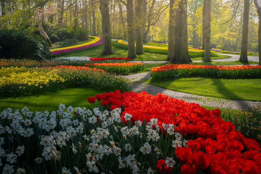 The Most Beautiful Flower Garden In The World Has No Visitors For The First Time In 71 Years And I Got To Capture It (31 Pics)