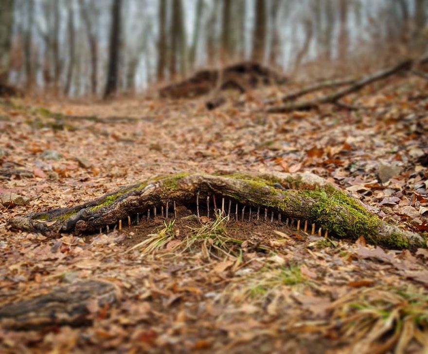 Allison Tyler's Curious Land Art Is So Precarious It Might Never Be Seen Allison Tyler's Curious Land Art Is So Precarious It Might Never Be Seen