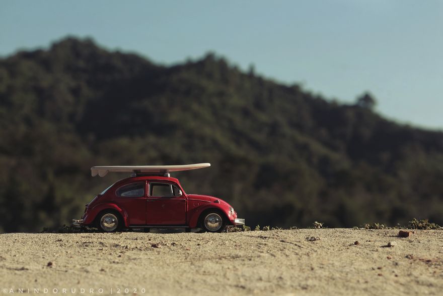 Love For The Bug!(Volkswagen Beetle)