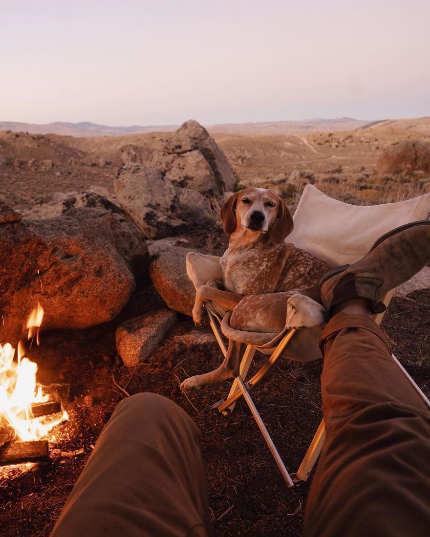 More Than 1 Million Followers Are Enchanted By The Beautiful Friendship Of This Rescued Dog With Its Owner On Instagram