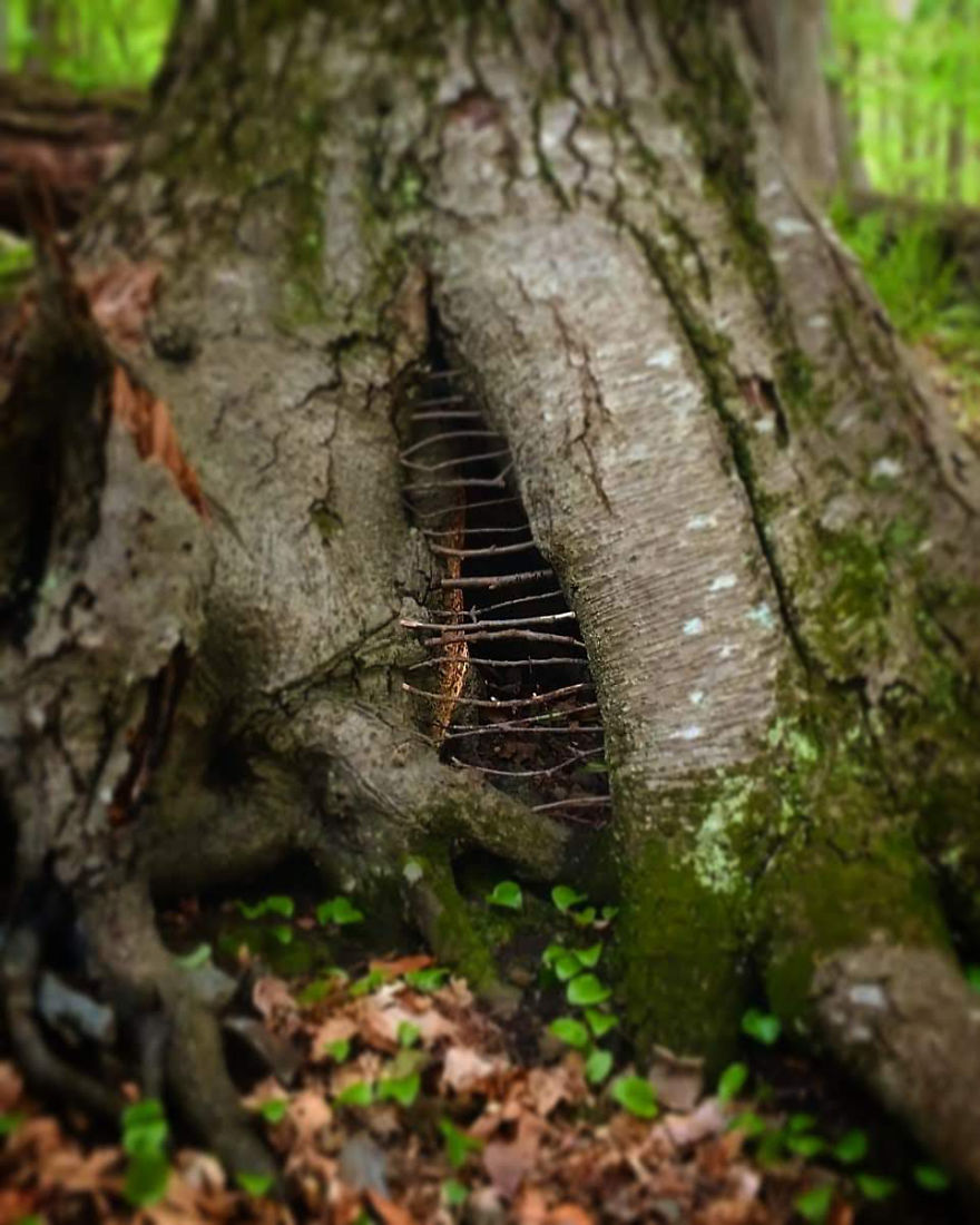 Allison Tyler's Curious Land Art Is So Precarious It Might Never Be Seen Allison Tyler's Curious Land Art Is So Precarious It Might Never Be Seen