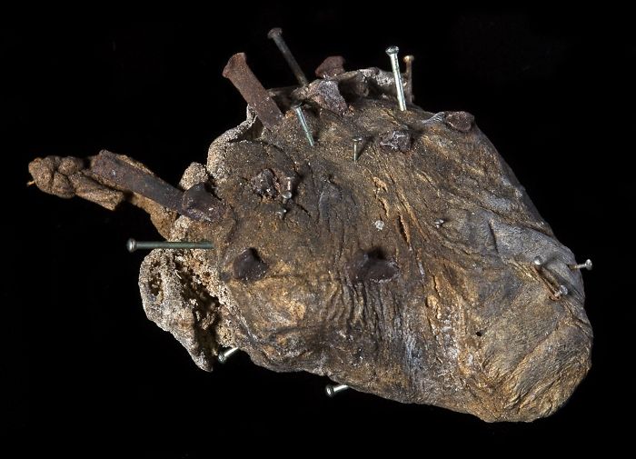 Sheep's Heart Stuck With Pins And Nails And Strung On A Loop Of Cord