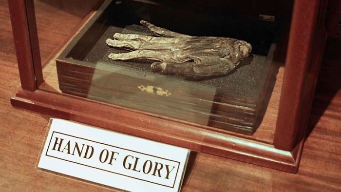 The Mummified Hand Of Glory At The Whitby Museum