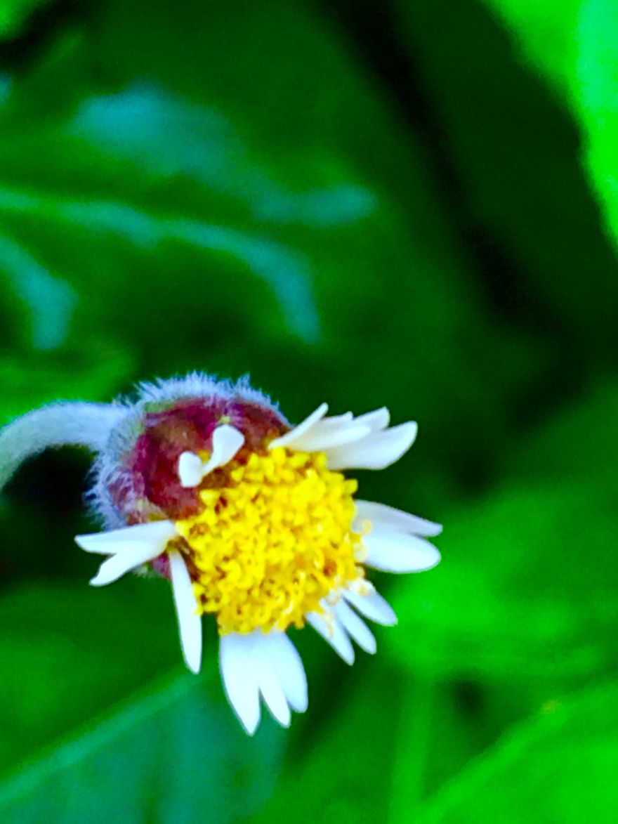 Nature Nature