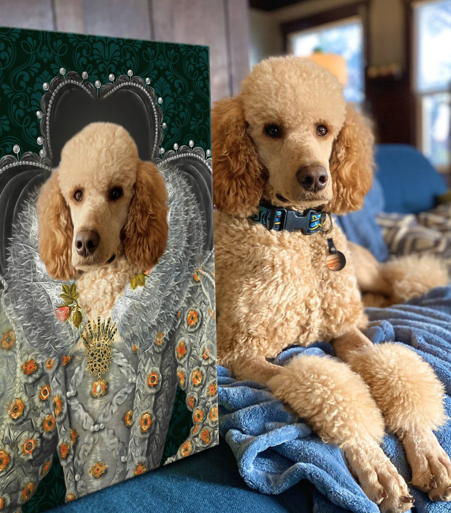 Keep Boredom At Bay By Having Your Pet Transformed Into Royalty!