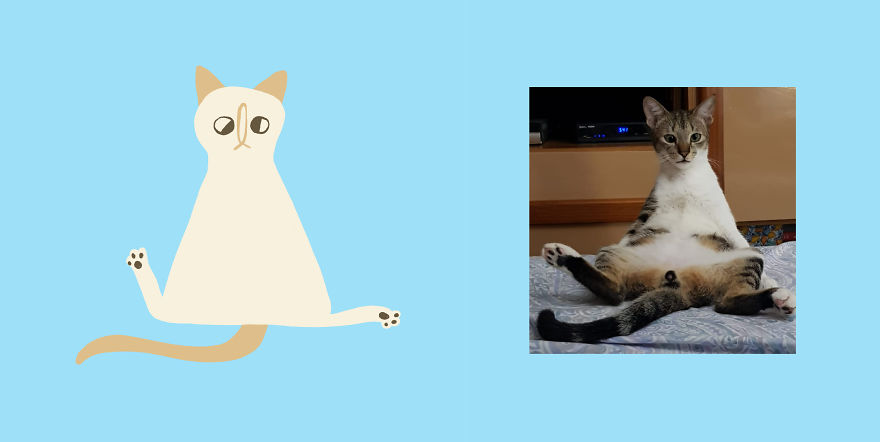 Quarantined Illustrator + Weirdly Shaped Cats = ??