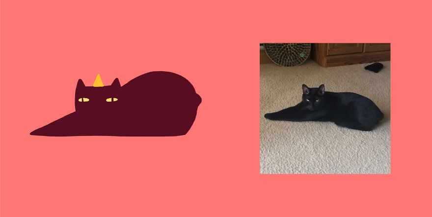 Quarantined Illustrator + Weirdly Shaped Cats = ??