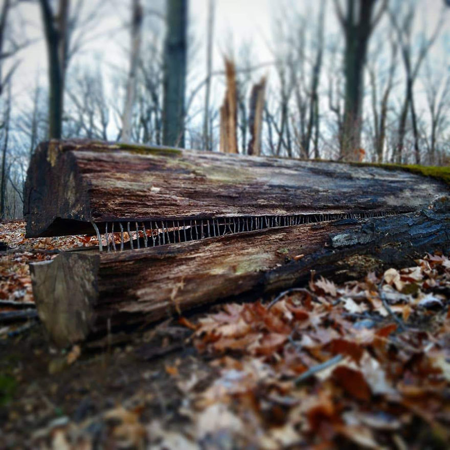 Allison Tyler's Curious Land Art Is So Precarious It Might Never Be Seen Allison Tyler's Curious Land Art Is So Precarious It Might Never Be Seen