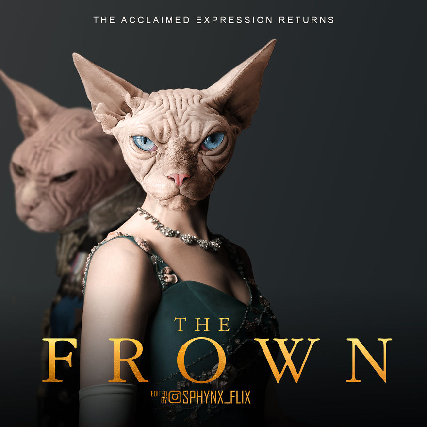 My 84 Movie Poster Parodies Starring Sphynx Cats