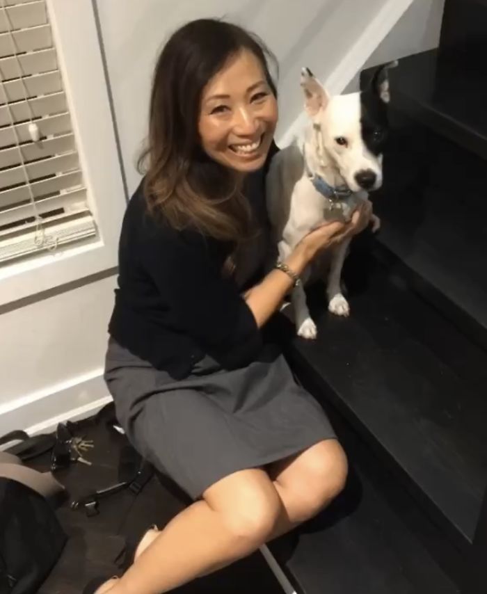 Woman With A Fear Of Dogs Decides To Adopt A Dog Who Is Afraid Of People And They Develop A Heartwarming Friendship