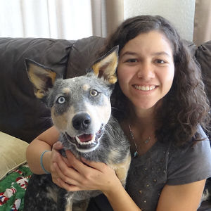 Tiffanysdiamonddogs