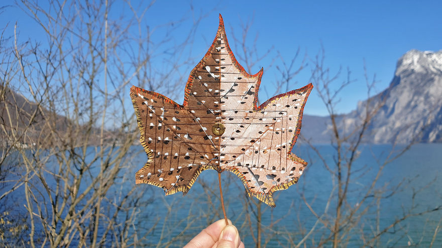 Traveling Leaves Traveling Leaves