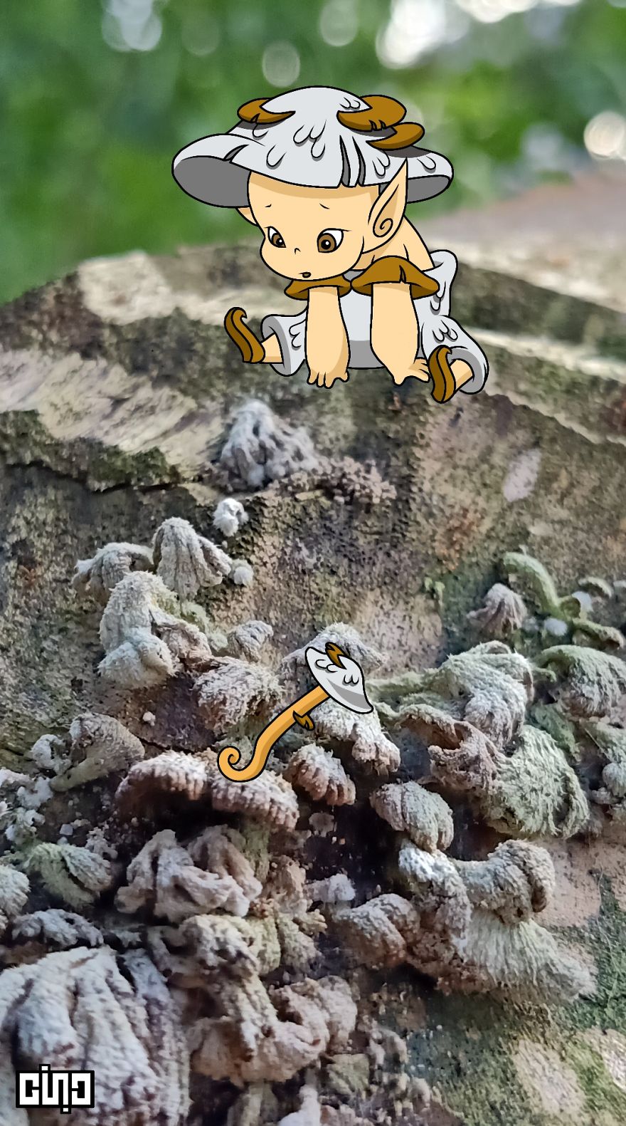 I Drew Baby Elves And Pixies Based On The Plants Found In Our Backyard
