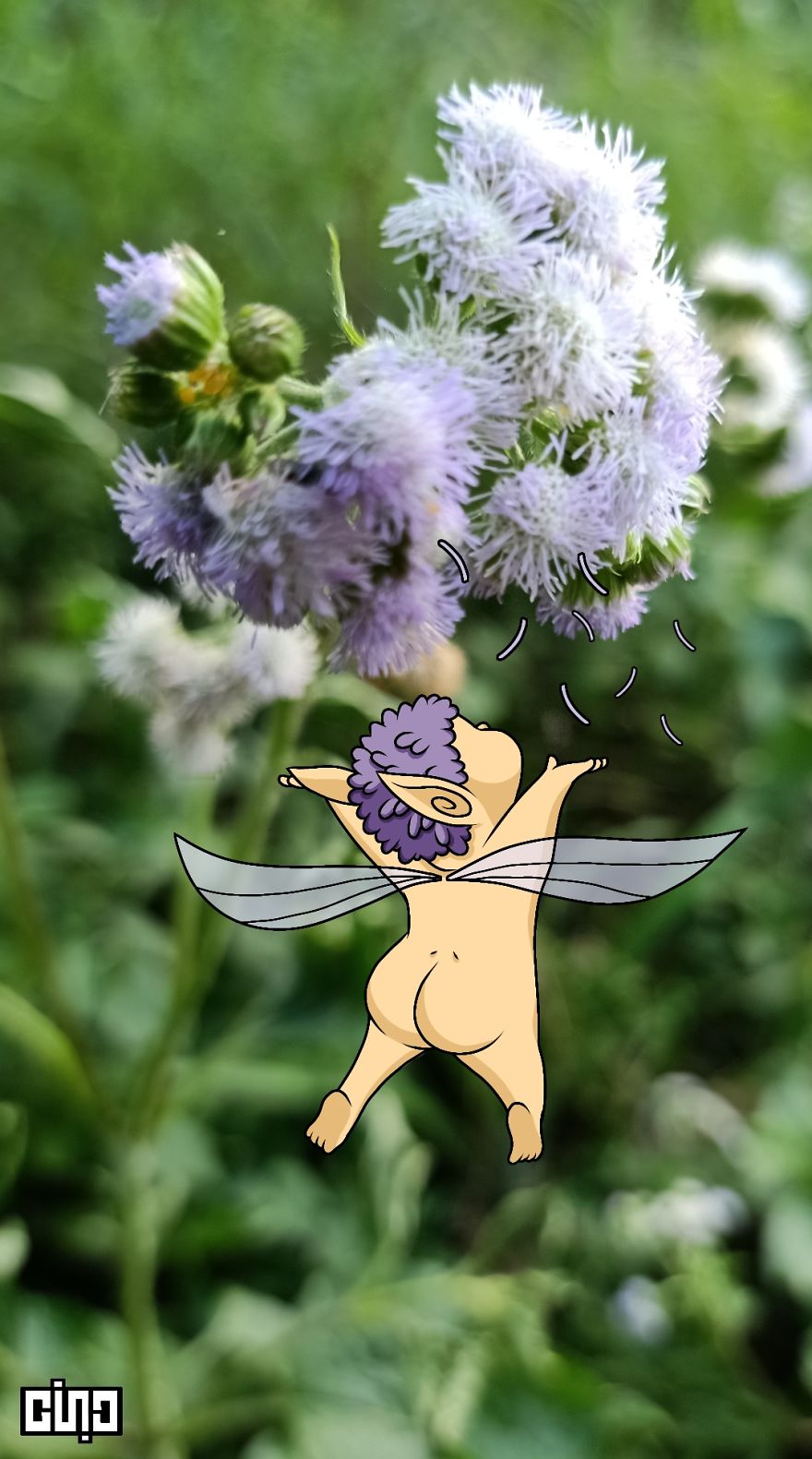 I Drew Baby Elves And Pixies Based On The Plants Found In Our Backyard