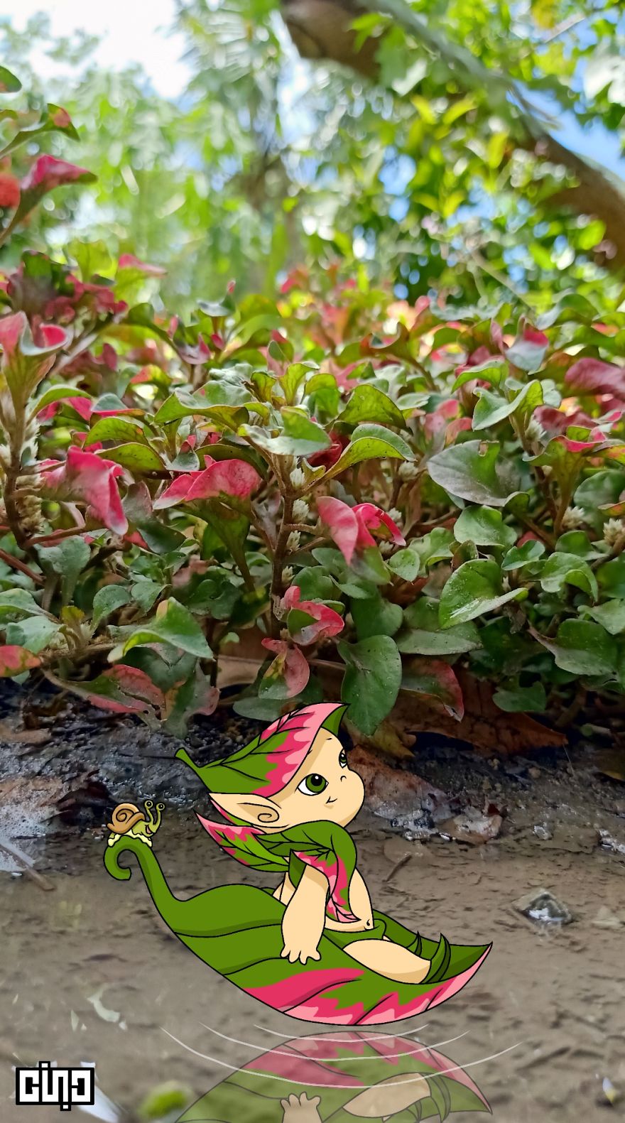 I Drew Baby Elves And Pixies Based On The Plants Found In Our Backyard