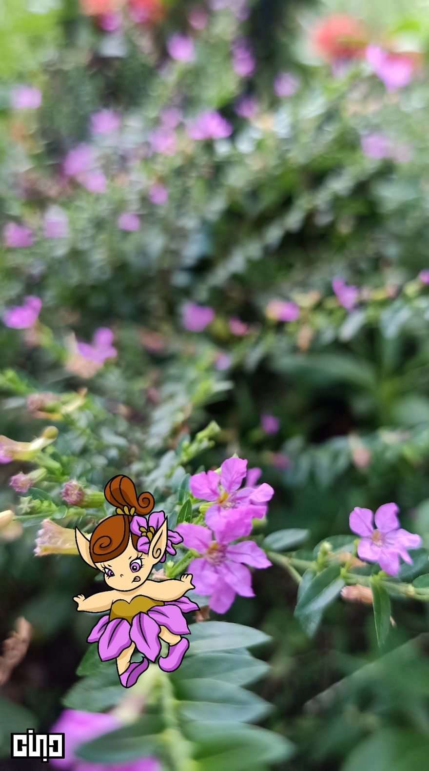 I Drew Baby Elves And Pixies Based On The Plants Found In Our Backyard