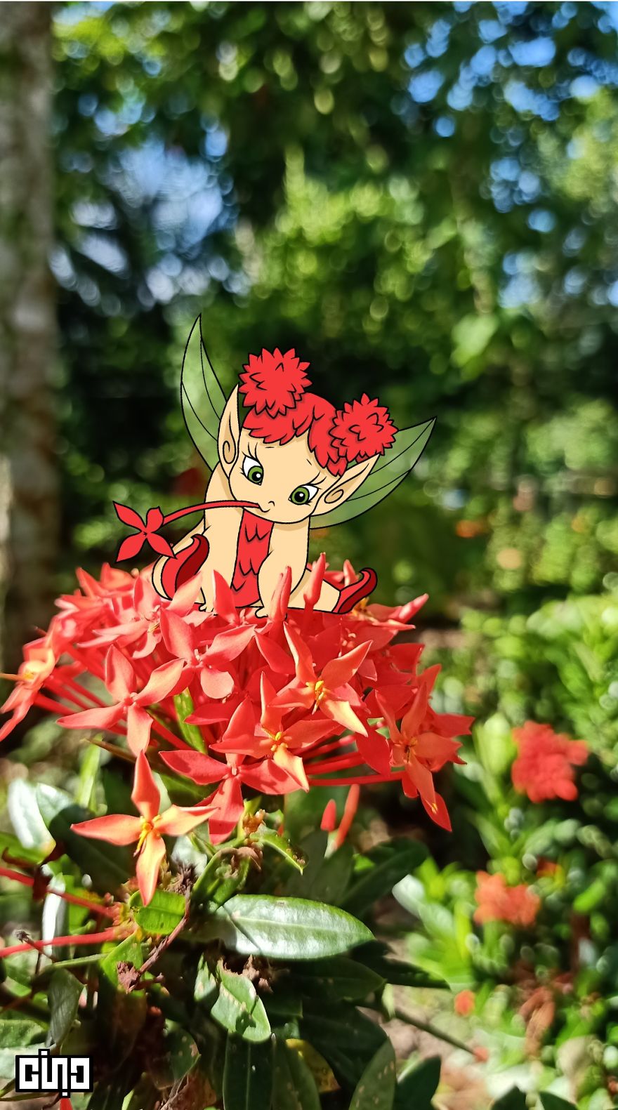 I Drew Baby Elves And Pixies Based On The Plants Found In Our Backyard