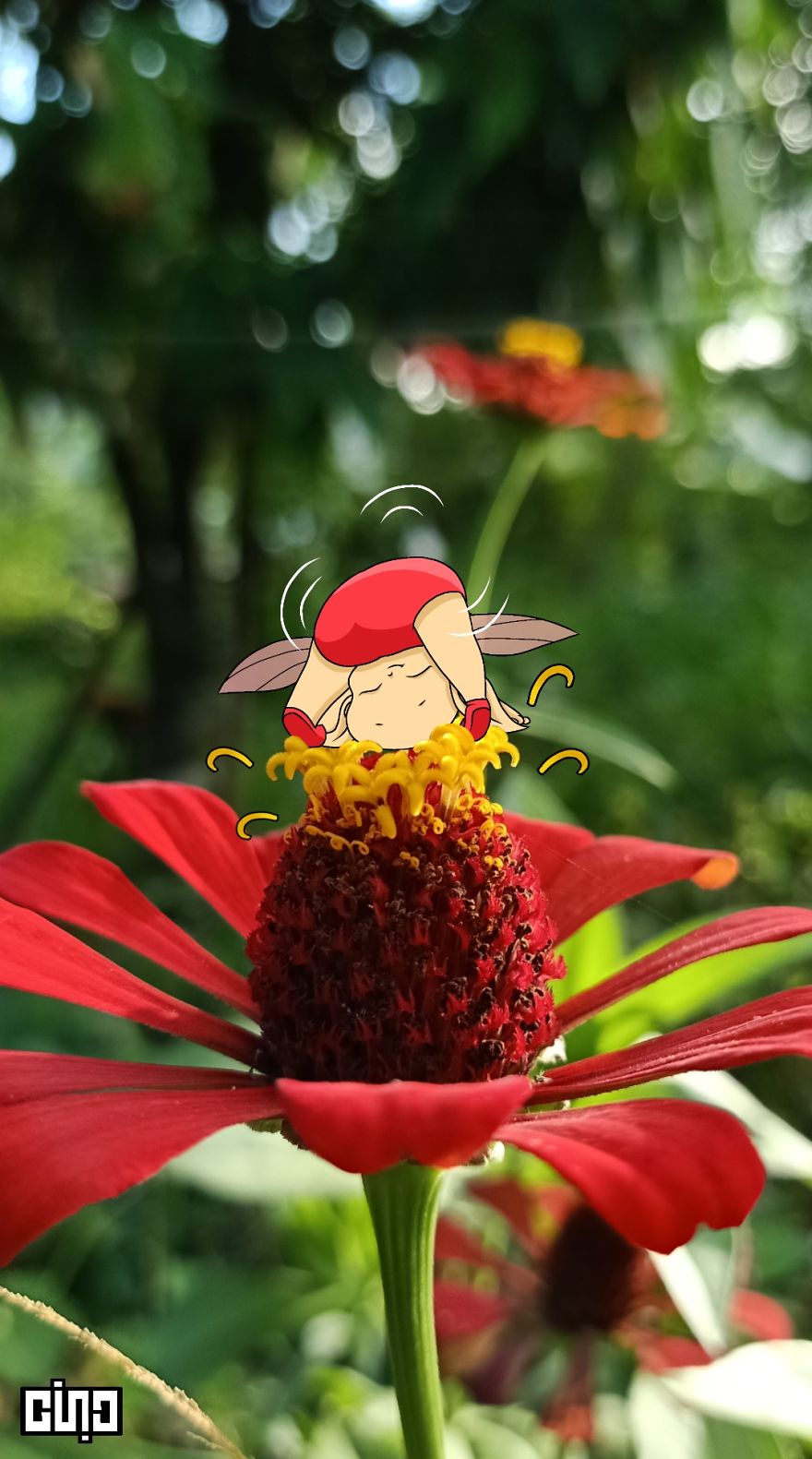I Drew Baby Elves And Pixies Based On The Plants Found In Our Backyard