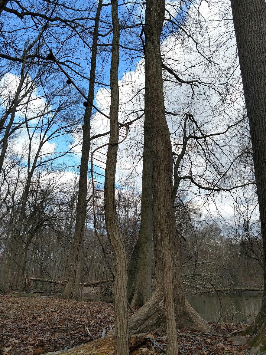 Allison Tyler's Curious Land Art Is So Precarious It Might Never Be Seen Allison Tyler's Curious Land Art Is So Precarious It Might Never Be Seen