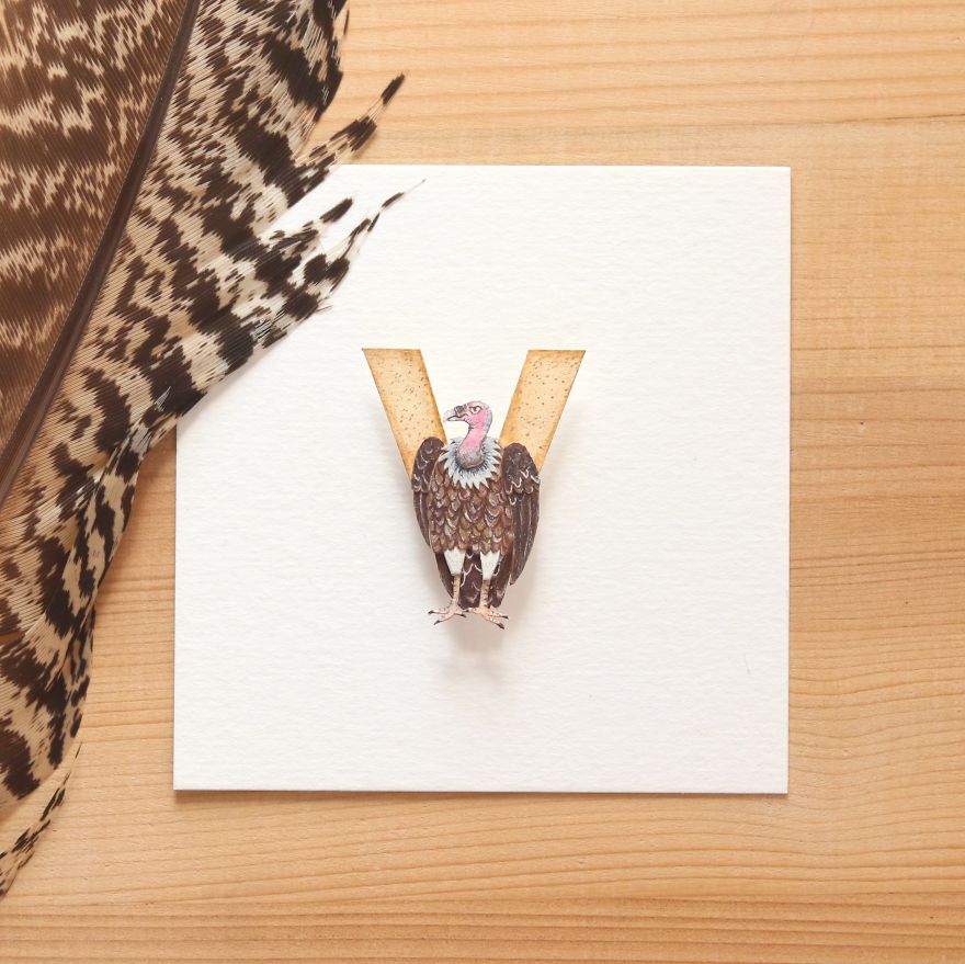 We Made An Alphabet Out Of Endangered Wildlife Species (34 Pics)