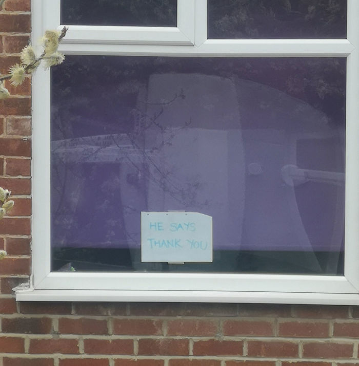 People Under Lockdown Are Using Window Signs To Talk To Their Neighbors About Their Cats, And It's Too Pure