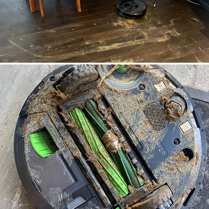Doggy Had An Accident. Roomba Found It