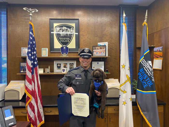 This Is Brody, The Bristol Police Therapy Dog Who Dozed Off On His Own Swearing-In Ceremony