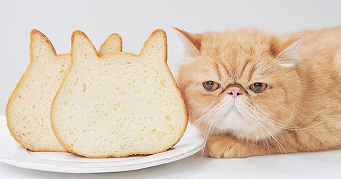Japanese Bakery Makes Cat-Shaped Breads And They’re Just Too Adorable