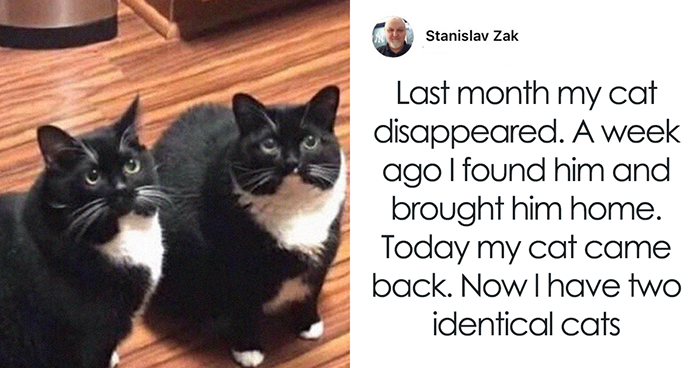 35 Hilarious Cat Snapchats That Will Put A Smile On Your Face (New Pics)